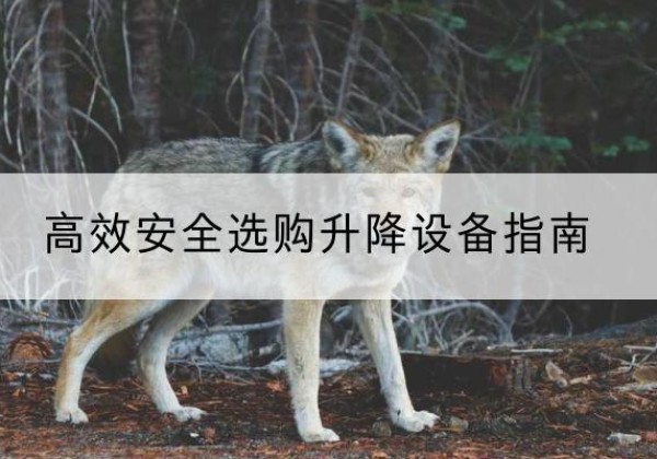 裕华升降货梯厂家推荐-*安全选购升降设备指南
