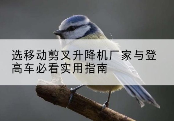 裕华电动升降机厂家-选移动剪叉升降机厂家与登高车必看实用指南